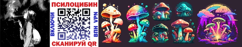 Галлюциногенные грибы Psilocybe  продажа наркотиков  Тавда 
